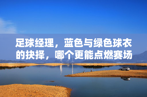 足球经理，蓝色与绿色球衣的抉择，哪个更能点燃赛场激情？