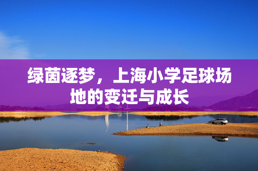 绿茵逐梦，上海小学足球场地的变迁与成长