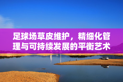 足球场草皮维护，精细化管理与可持续发展的平衡艺术