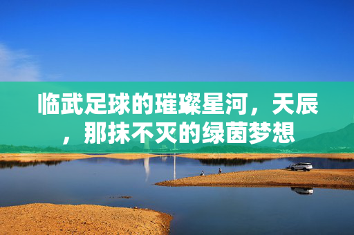 临武足球的璀璨星河，天辰，那抹不灭的绿茵梦想