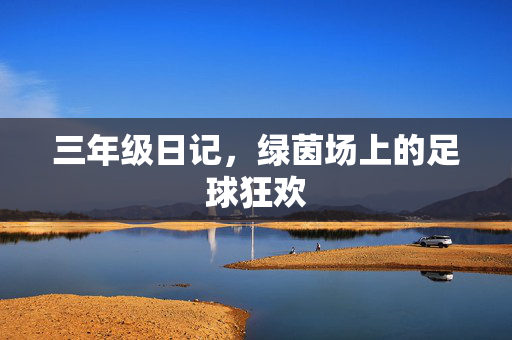三年级日记，绿茵场上的足球狂欢
