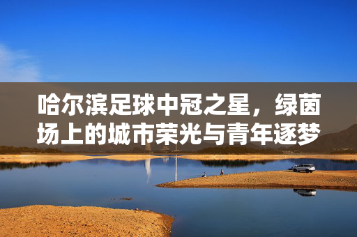 哈尔滨足球中冠之星，绿茵场上的城市荣光与青年逐梦，哈尔滨足球中冠之星，绿茵场上的城市荣光与青年逐梦