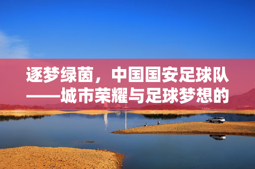 逐梦绿茵，中国国安足球队——城市荣耀与足球梦想的传承