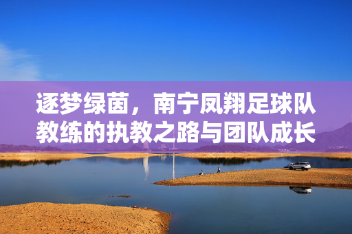 逐梦绿茵，南宁凤翔足球队教练的执教之路与团队成长