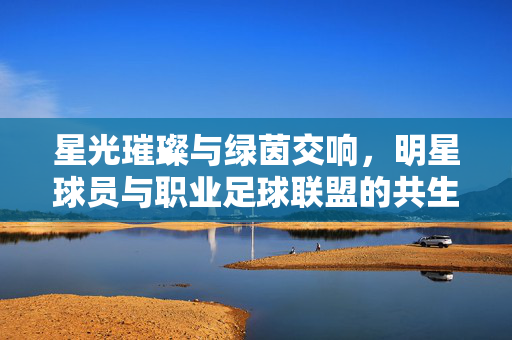 星光璀璨与绿茵交响，明星球员与职业足球联盟的共生发展