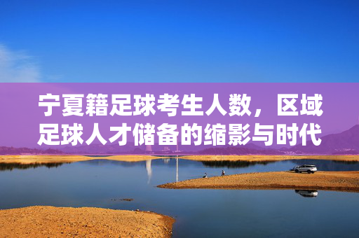 宁夏籍足球考生人数，区域足球人才储备的缩影与时代回响，宁夏籍足球考生人数，区域足球人才储备的缩影与时代回响