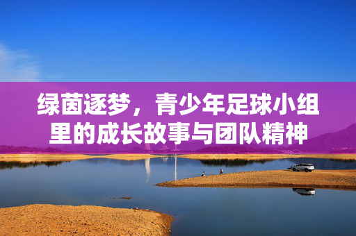 绿茵逐梦，青少年足球小组里的成长故事与团队精神