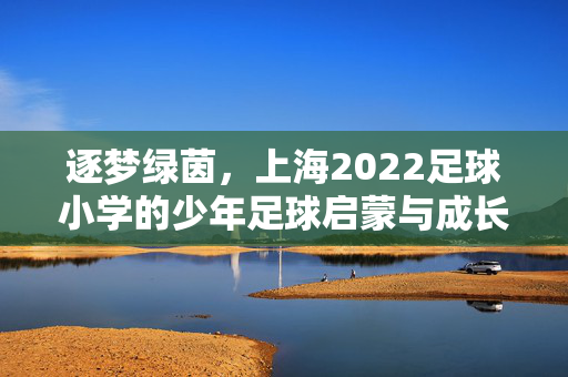 逐梦绿茵，上海2022足球小学的少年足球启蒙与成长之路