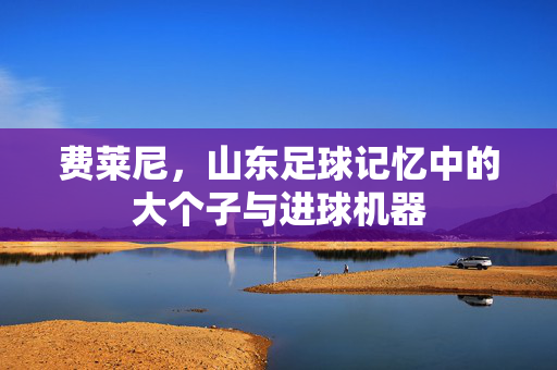 费莱尼，山东足球记忆中的大个子与进球机器