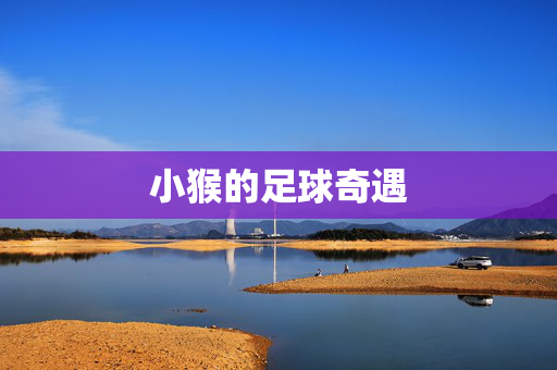 小猴的足球奇遇
