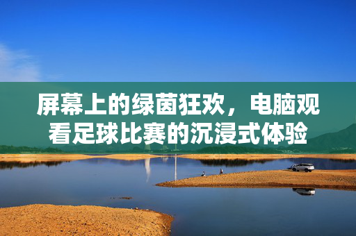 屏幕上的绿茵狂欢，电脑观看足球比赛的沉浸式体验