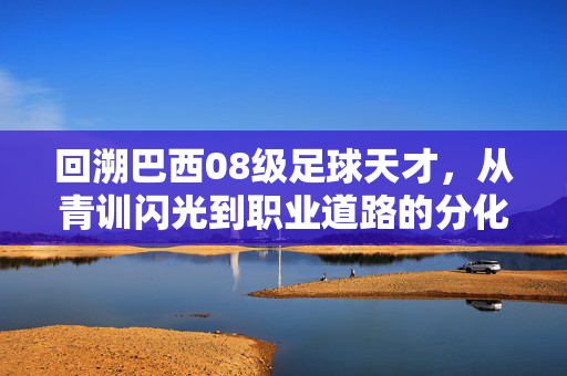 回溯巴西08级足球天才，从青训闪光到职业道路的分化，那些被时光遗忘的足球梦想家