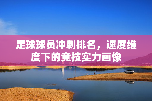 足球球员冲刺排名，速度维度下的竞技实力画像