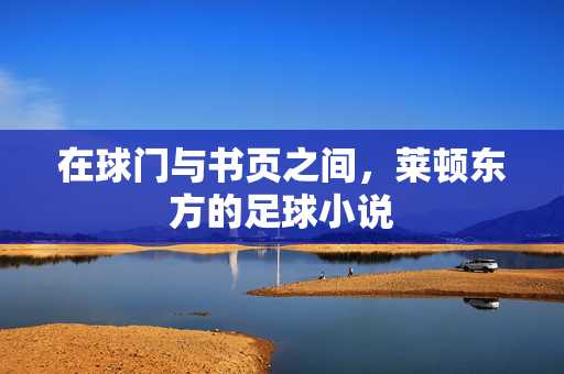 在球门与书页之间，莱顿东方的足球小说