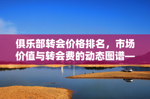 俱乐部转会价格排名，市场价值与转会费的动态图谱——解析球员身价背后的俱乐部战略与市场逻辑