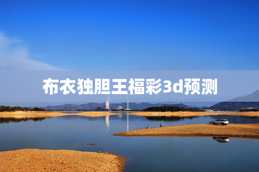 布衣独胆王福彩3d预测