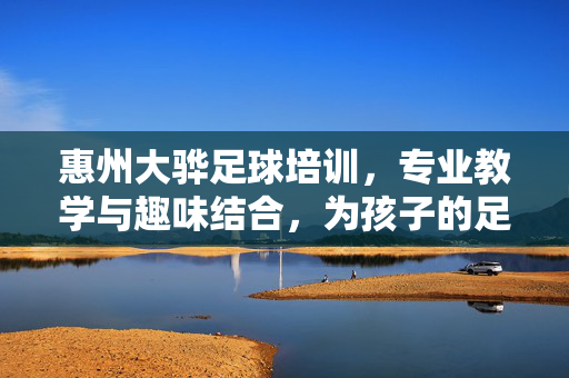 惠州大骅足球培训，专业教学与趣味结合，为孩子的足球梦想插上翅膀