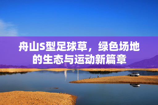 舟山S型足球草，绿色场地的生态与运动新篇章