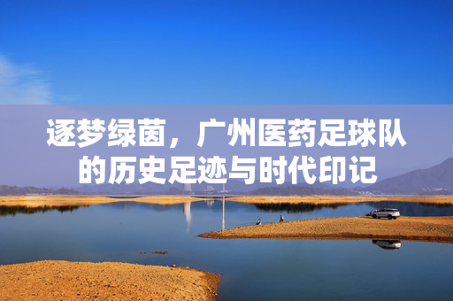 逐梦绿茵，广州医药足球队的历史足迹与时代印记
