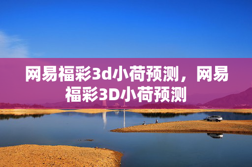 网易福彩3d小荷预测，网易福彩3D小荷预测