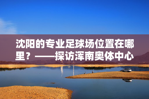 沈阳的专业足球场位置在哪里？——探访浑南奥体中心体育场