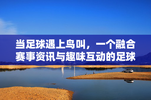 当足球遇上鸟叫，一个融合赛事资讯与趣味互动的足球网站探秘，当足球遇上鸟叫，探秘融合赛事资讯与趣味互动的足球网站