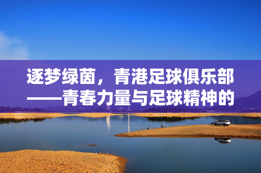 逐梦绿茵，青港足球俱乐部——青春力量与足球精神的传承，逐梦绿茵，青港足球俱乐部——青春力量与足球精神的传承