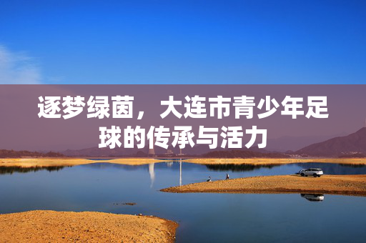 逐梦绿茵，大连市青少年足球的传承与活力