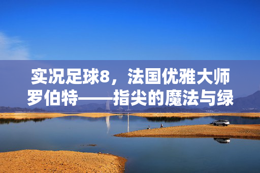 实况足球8，法国优雅大师罗伯特——指尖的魔法与绿茵的力量