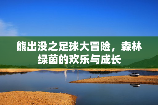 熊出没之足球大冒险，森林绿茵的欢乐与成长
