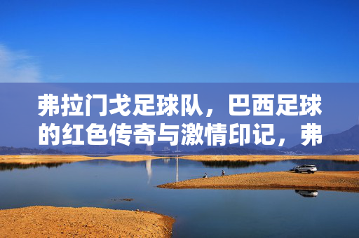 弗拉门戈足球队，巴西足球的红色传奇与激情印记，弗拉门戈足球队，巴西足球的红色传奇与激情印记