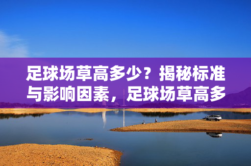 足球场草高多少？揭秘标准与影响因素，足球场草高多少？揭秘标准与影响因素