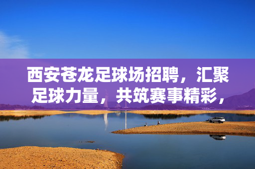 西安苍龙足球场招聘，汇聚足球力量，共筑赛事精彩，西安苍龙足球场招聘，汇聚足球力量，共筑赛事精彩
