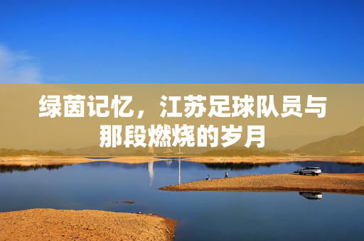 绿茵记忆，江苏足球队员与那段燃烧的岁月