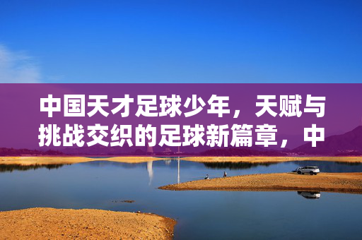 中国天才足球少年,天赋与挑战交织的足球新篇章,中国天才足球少年,天赋与挑战交织的足球新篇章