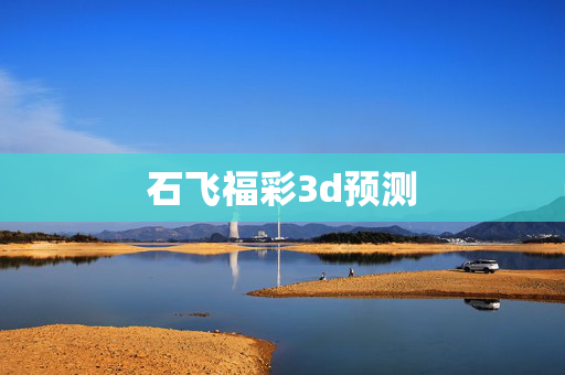 石飞福彩3d预测