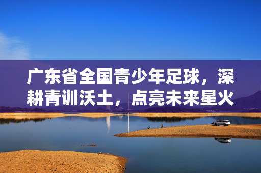 广东省全国青少年足球，深耕青训沃土，点亮未来星火——铸就足球强国战略的广东实践