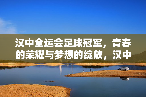 汉中全运会足球冠军，青春的荣耀与梦想的绽放，汉中全运会足球冠军，青春的荣耀与梦想的绽放