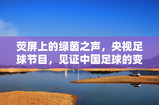 荧屏上的绿茵之声，央视足球节目，见证中国足球的变迁与梦想，荧屏上的绿茵之声，央视足球节目与中国足球的变迁与梦想