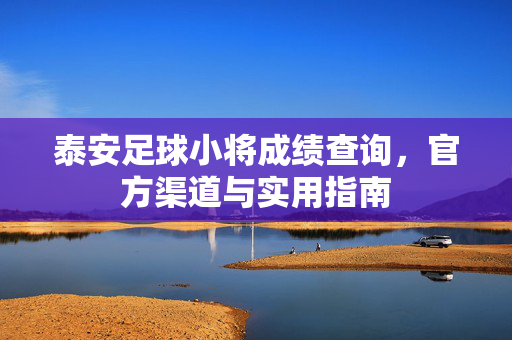 泰安足球小将成绩查询，官方渠道与实用指南
