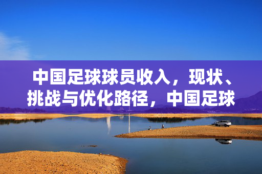 中国足球球员收入,现状、挑战与优化路径,中国足球球员收入,现状、挑战与优化路径