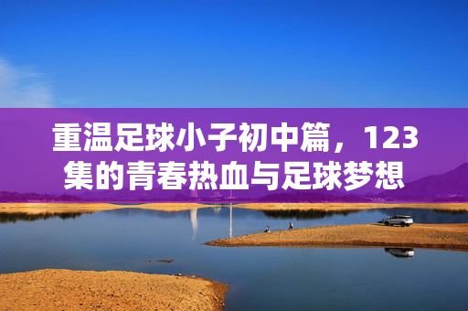 重温足球小子初中篇，123集的青春热血与足球梦想