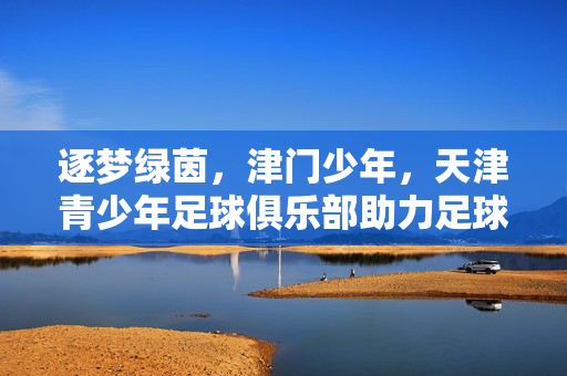 逐梦绿茵，津门少年，天津青少年足球俱乐部助力足球后备人才培育，逐梦绿茵，津门少年，天津青少年足球俱乐部助力足球后备人才培育
