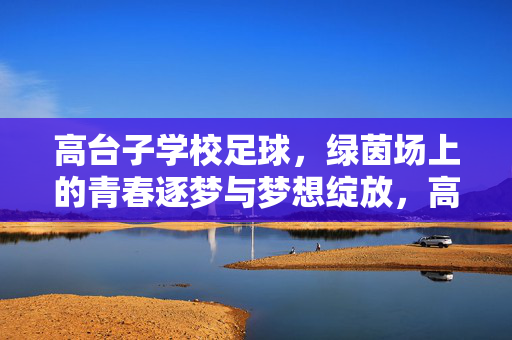 高台子学校足球，绿茵场上的青春逐梦与梦想绽放，高台子学校足球，绿茵场上的青春逐梦与梦想绽放