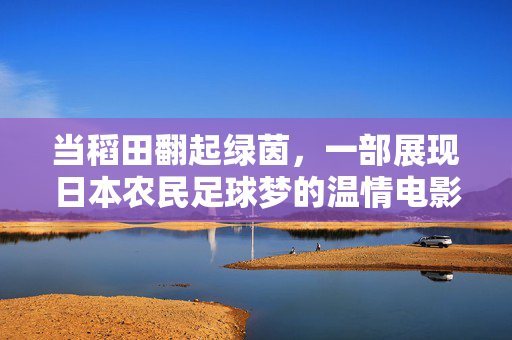 当稻田翻起绿茵，一部展现日本农民足球梦的温情电影，稻田翻绿，日本农民的足球温情电影