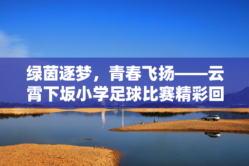 绿茵逐梦，青春飞扬——云霄下坂小学足球比赛精彩回顾