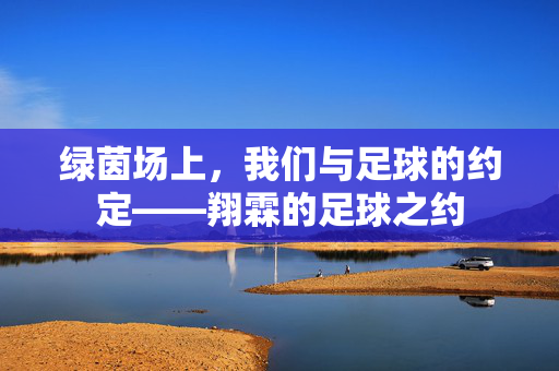 绿茵场上，我们与足球的约定——翔霖的足球之约