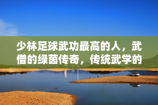 少林足球武功最高的人，武僧的绿茵传奇，传统武学的现代演绎