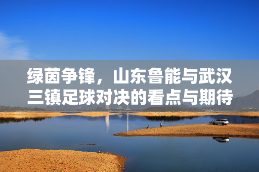 绿茵争锋，山东鲁能与武汉三镇足球对决的看点与期待