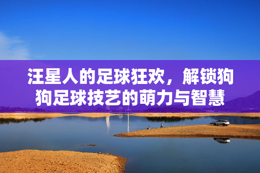 汪星人的足球狂欢，解锁狗狗足球技艺的萌力与智慧